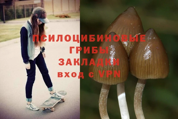прущие крисы Белоозёрский