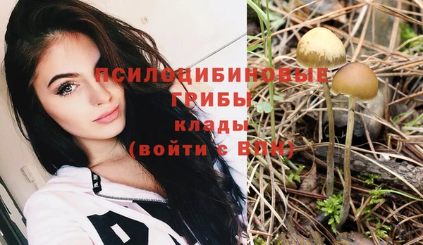 прущие крисы Белоозёрский