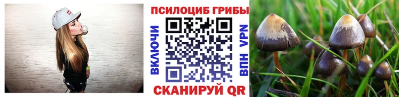 как найти закладки Усмань Псилоцибиновые грибы мухоморы